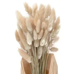 Clearance Bukiet Suszek Lanati Naturalnych 40 Cm Sztuczne Kwiaty I Rośliny