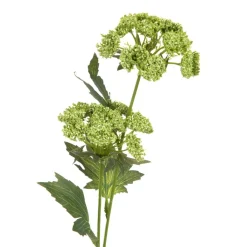 Outlet Galazka Sztuczna Anise Anyz Zielona 48 Cm Sztuczne Kwiaty I Rośliny