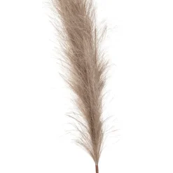 Shop Galazka Sztuczna Canne Bezowa 97 Cm Sztuczne Kwiaty I Rośliny
