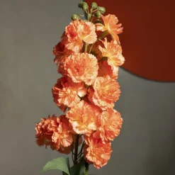 Cheap Galazka Sztuczna Tena Gozdziki Pomaranczowe 82 Cm Sztuczne Kwiaty I Rośliny