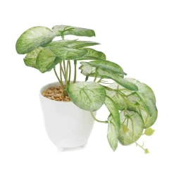 Best Sale Roslina Sztuczna Semela Epipremnum Zlocista 18 Cm Sztuczne Rośliny Na Balkon