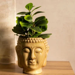 Store Roslina Sztuczna Semela Peperomia 30 Cm Sztuczne Rośliny Na Balkon