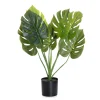 Cheap Roslina Sztuczna Tropical Zone Monstera W Czarnej Donicy 75 Cm Sztuczne Rośliny Na Balkon
