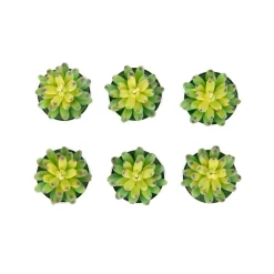 Store Zestaw Swiec Jade 6 Szt. Sukulenty 166 G Świece Dekoracyjne